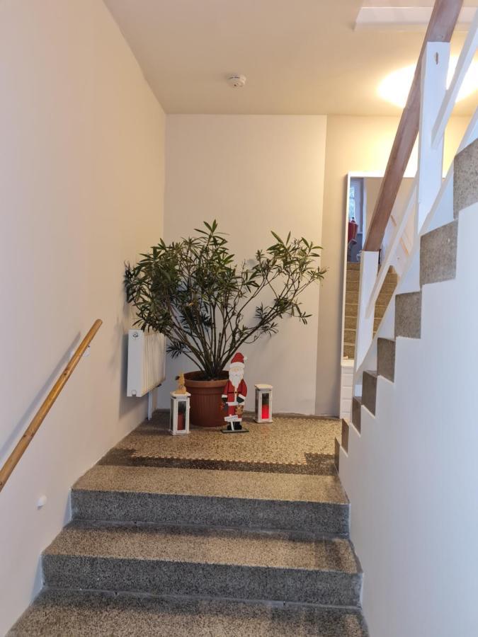 Apartamento Haus Fernblick Kurort Bärenburg Exterior foto